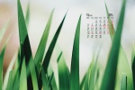 September 2021 small fresh natural scenery calendar wallpaper