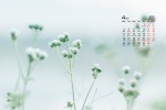 April 2022 green scenery eye protection computer calendar wallpaper
