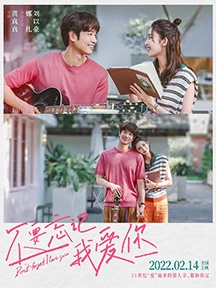 《不要忘记我爱你》