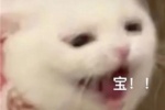 宝！！