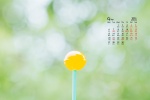 2021年9月护眼绿色桌面日历壁纸