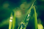 March 2022 Eye-Safe Desktop Calendar Wallpaper
