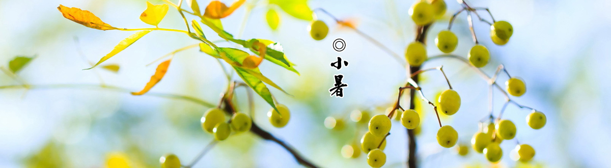 Xiaoshu mobile wallpaper