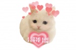 Cute cat avatar without watermark ​​​​