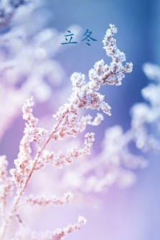 Beautiful snow scene pictures at the beginning of winter HD mobile wallpaper
