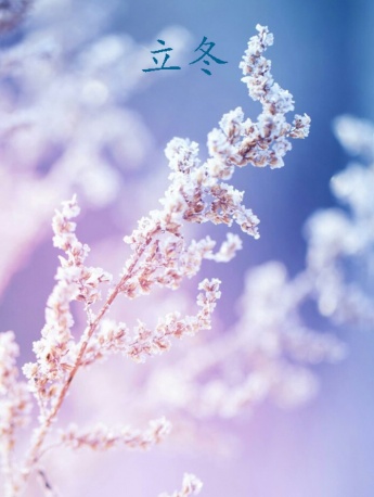 立冬唯美雪景图片高清手机壁纸