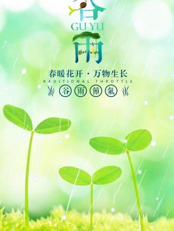 谷雨图片高清海报素材