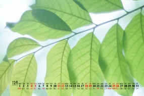 2021年12月简约风格护眼桌面日历壁纸