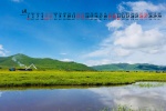2021年6月綠色草原風景桌麵日曆壁紙