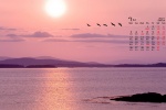 Beautiful night scenery desktop calendar wallpaper for July 2021