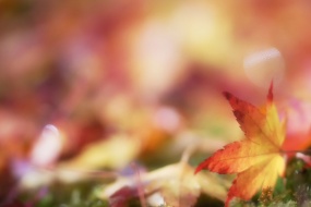 24 Solar Terms Beginning of Autumn Computer Desktop Wallpaper