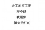 去工地打工吧，好不好，我看你挺会抬杠的