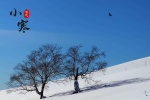 Solar term Xiaohan snow scene picture desktop wallpaper