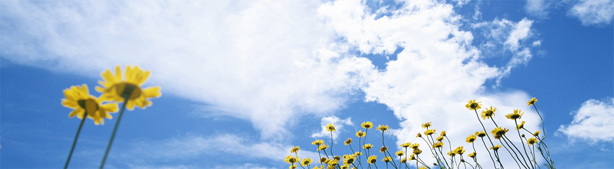 白云桌面壁纸大全