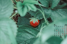 2022年4月护眼绿色桌面日历壁纸