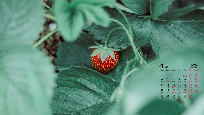 April 2022 eye-protecting green desktop calendar wallpaper