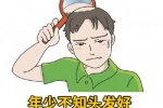 年少不知头发好错把秃子当做宝表情包