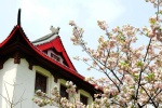 Sichuan University campus scenery pictures