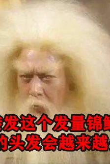 Hair volume koi expression pack