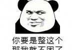 你要是整这个那我就不困了表情包（熊猫头）