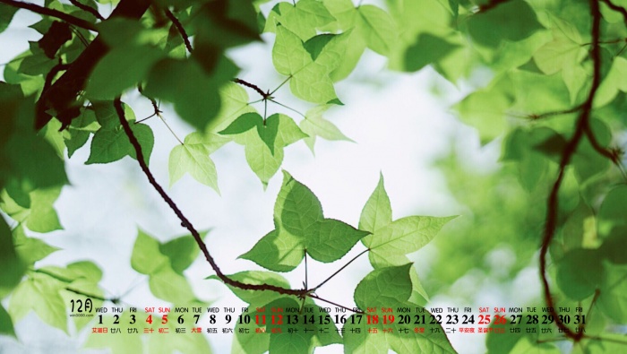 December 2021 HD Eye Protection Calendar Wallpaper