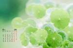 2022年4月绿色护眼小清新电脑日历壁纸