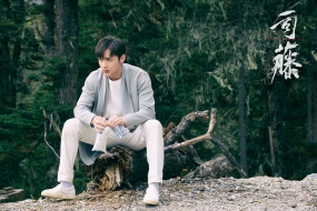 司藤角色剧照壁纸