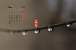 2021年5月清新護眼穀雨節氣桌麵日曆壁紙
