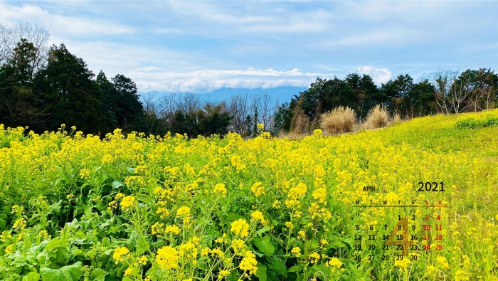 Fresh eye-protecting desktop calendar wallpaper for April 2021