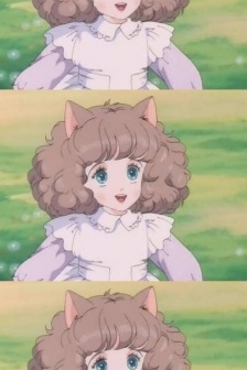 棉花国之星琪比猫手机壁纸