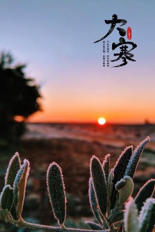 Snowflakes and snow scene mobile wallpaper in the cold season