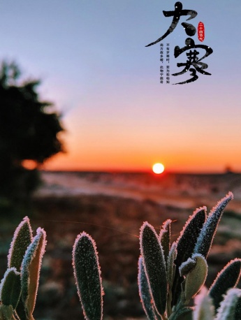 大寒時節之雪花雪景手機壁紙