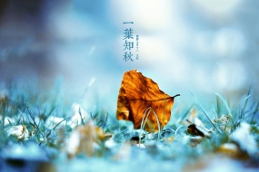 Traditional solar term Beginning of Autumn desktop wallpaper