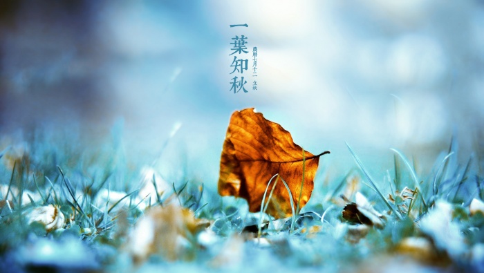 傳統節氣之立秋桌麵壁紙