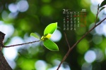 March 2022 HD Eye Protection Desktop Calendar Wallpaper