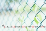 2021年8月小清新绿色桌面日历壁纸