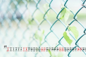 August 2021 small fresh green desktop calendar wallpaper