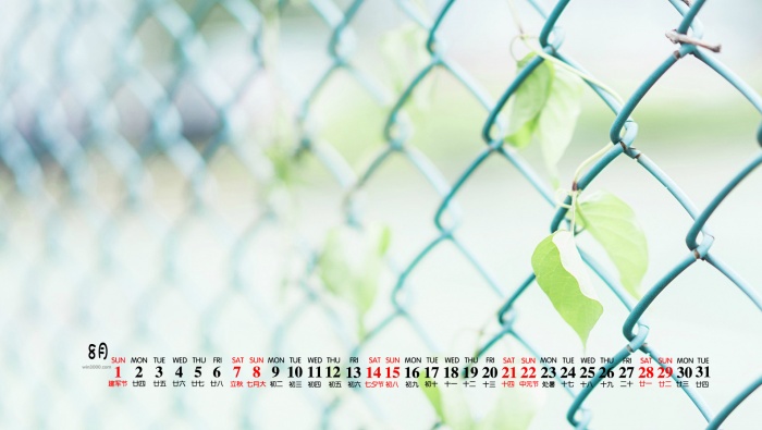 2021年8月小清新绿色桌面日历壁纸