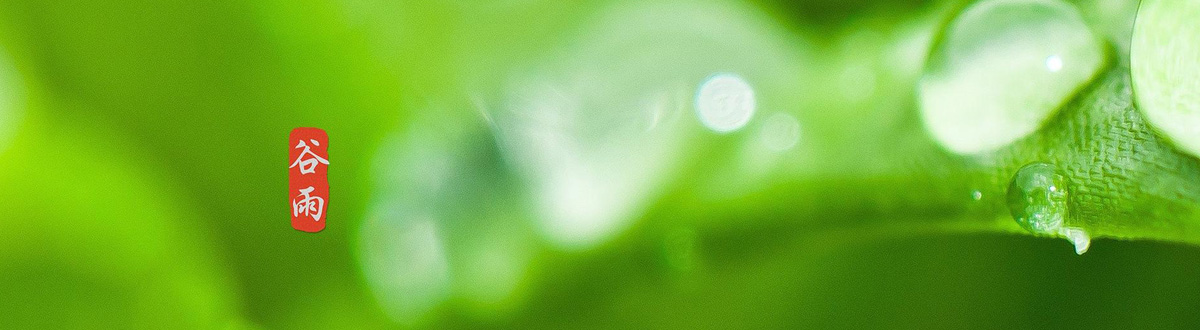 A complete collection of Guyu pictures