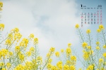 2022年1月清新淡雅花朵日曆壁紙