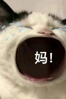 猫咪喊妈表情包