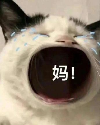 Cat calls mom expression pack