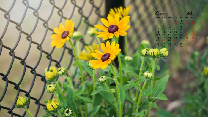 Eye-protecting green floral desktop calendar wallpaper for April 2021