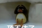 顶不住了