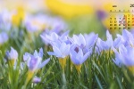 April 2021 Flowers and Plants HD Calendar Wallpaper