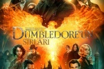 电影《神奇动物：邓布利多之谜》海报图片