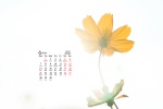 2021年6月黄色小花朵唯美桌面日历壁纸