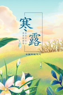 Beautiful high-definition pictures of cold dew during the twenty-four solar terms