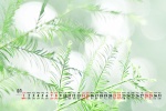 2021年8月绿色主题高清日历壁纸