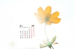 2022年4月治愈系小黄花高清桌面日历壁纸